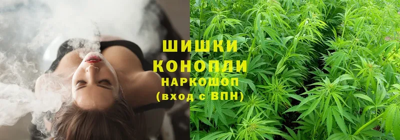 нарко площадка телеграм  Малаховка  Бошки марихуана THC 21%  купить наркоту 